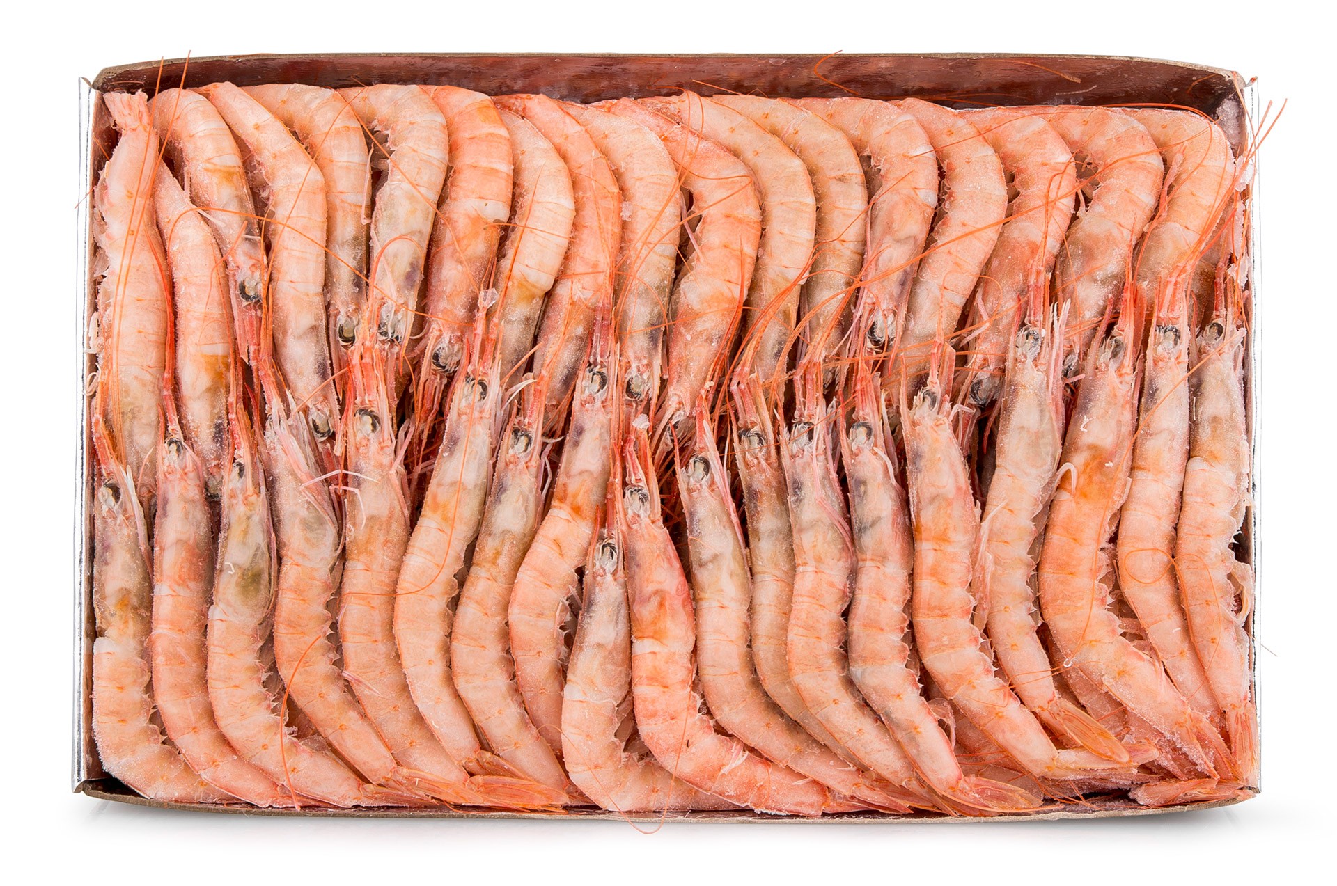 Gamba Branca 140/160 Congelada Cx IQF