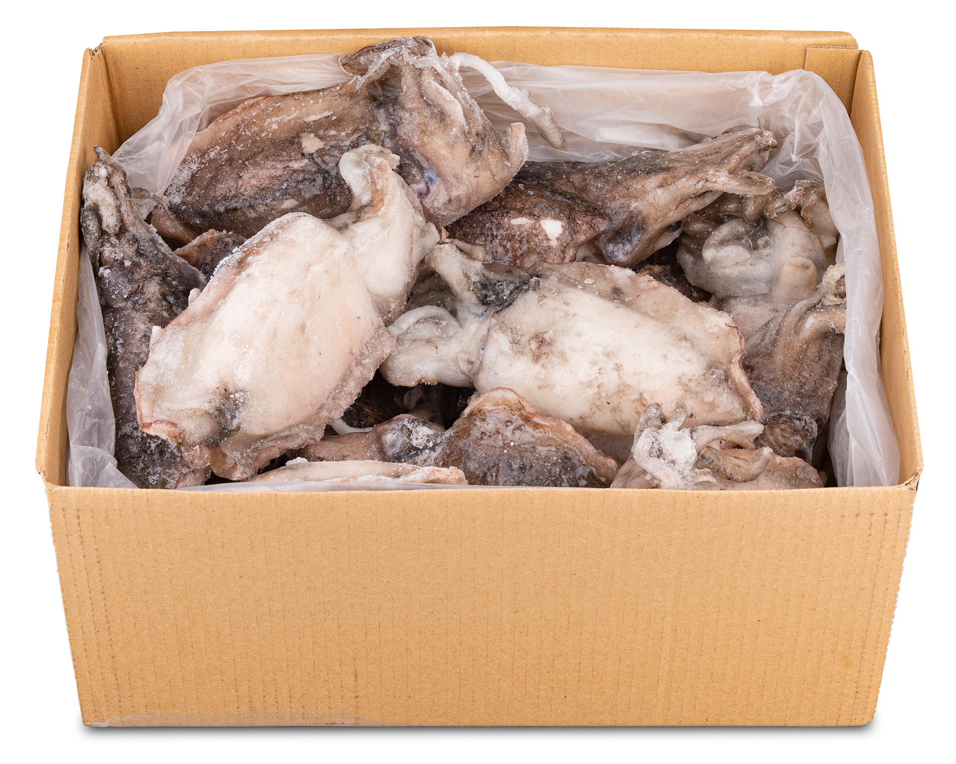 Choco Inteiro 300/400 g Congelado Cx 6 kg