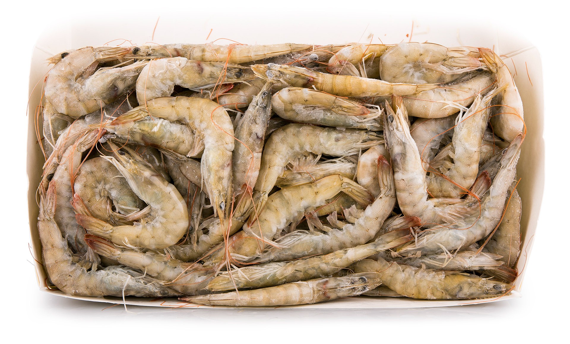 Camar�o Vannamei 60/80 Congelado Equador Cx 2 kg