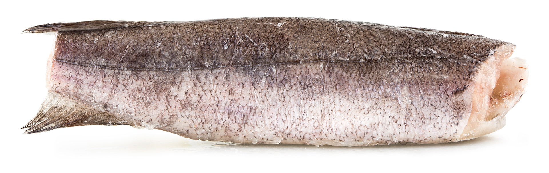 Pescada Inteira Nº4 800/1200 g Congelada África do Sul IQF Pescada Inteira Nº4 800/1200 g Congelada África do Sul IQF