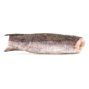 Pescada Inteira Nº4 800/1200 g Congelada África do Sul IQF Pescada Inteira Nº4 800/1200 g Congelada África do Sul IQF