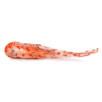 Lagosta Cozida 860/1100 g Congelada Cuba Cx 10 kg