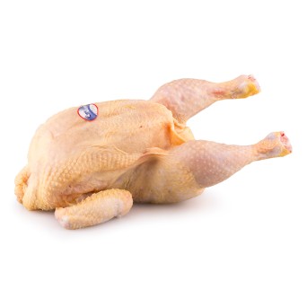 Frango Inteiro 900/1000 g Fresco Avicasal