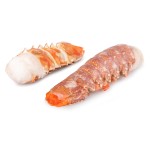 Rabos Lagosta 100/200 Congelados Cx 5 kg Rabos Lagosta 100/200 Congelados Cx 5 kg