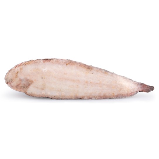 Linguado 200/300 g Congelado Guin Cx 10 kg