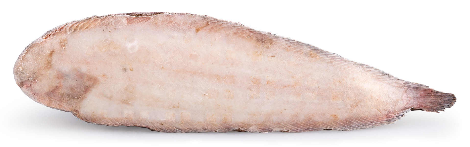 Linguado 200/300 g Congelado Guiné Cx 10 kg Linguado 200/300 g Congelado Guiné Cx 10 kg