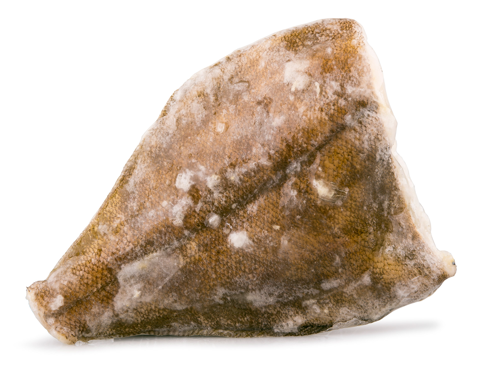 Solha Inteira 400/600 Congelada Uli Cx 6 kg Solha Inteira 400/600 Congelada Uli Cx 6 kg