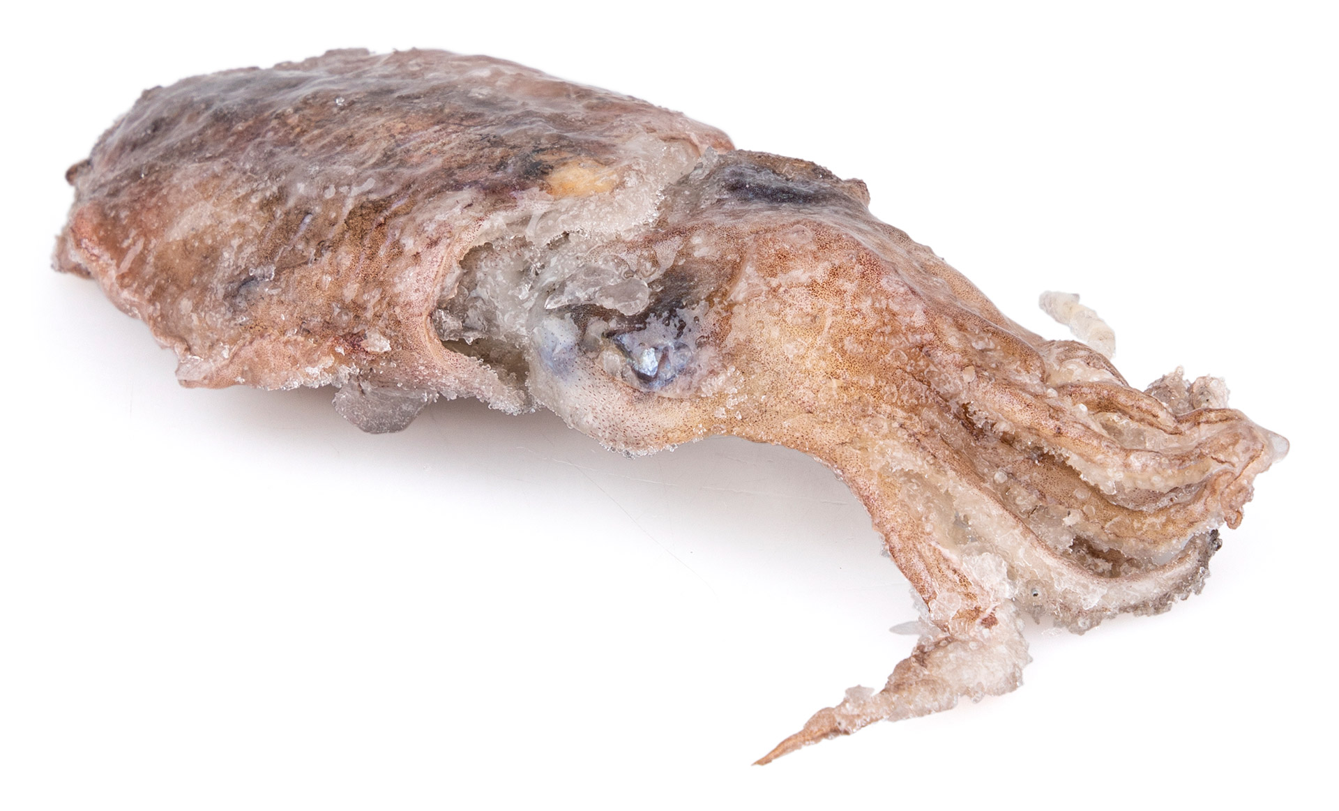 Choco Inteiro 100/200 g Congelado Cx 6 kg