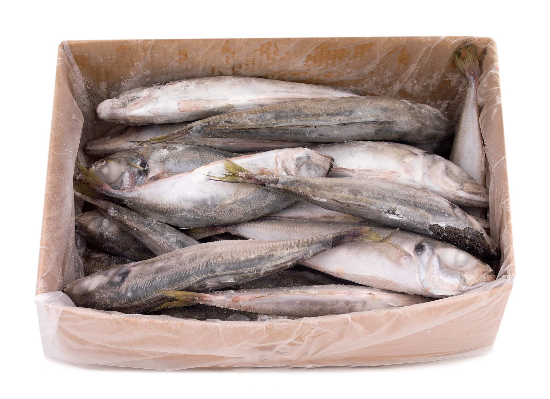 Carapau Branco 4/6 Congelado Uli Cx 6 kg