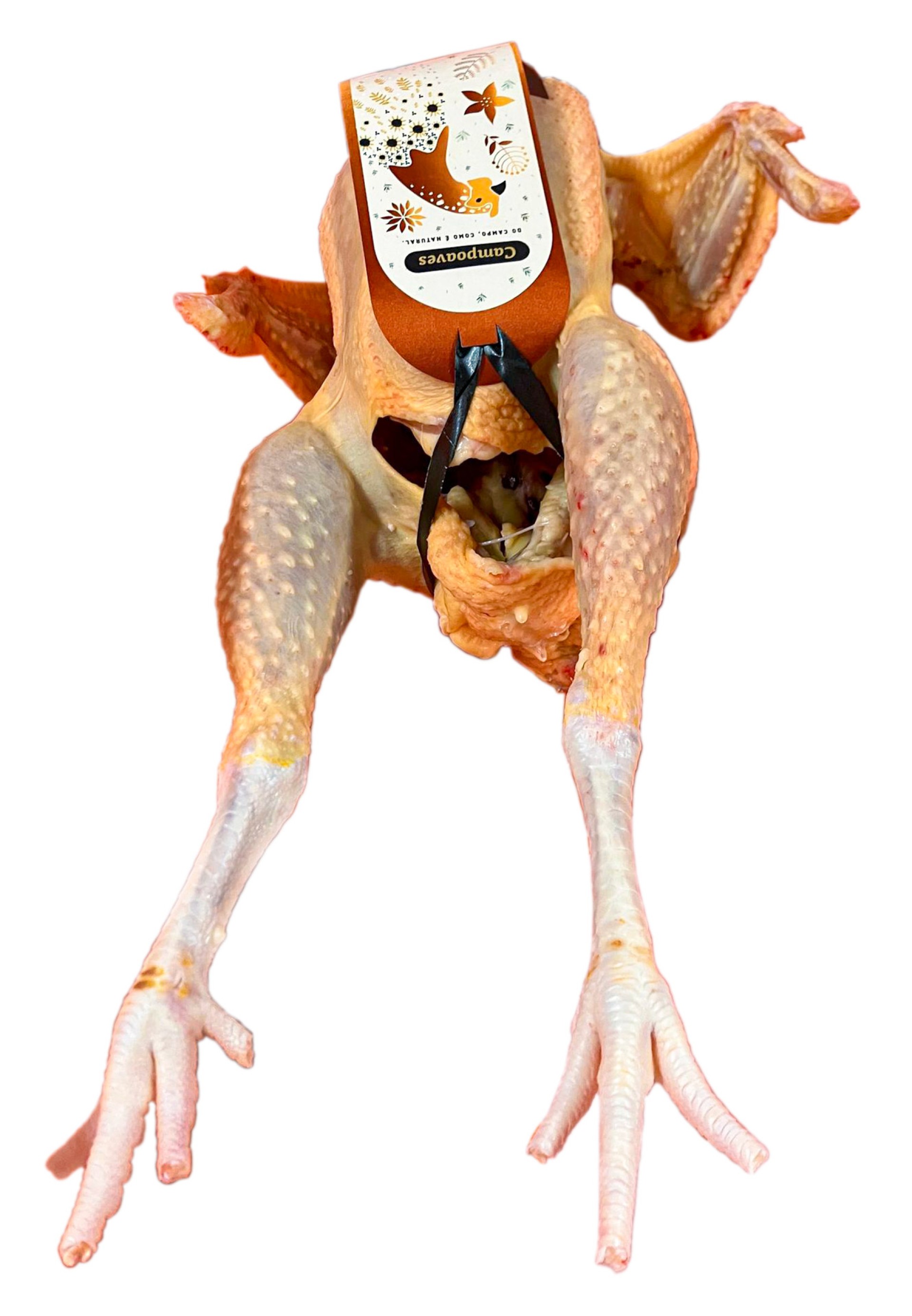 Polarda do Campo Fresca Avulso Polarda do Campo Fresca Avulso