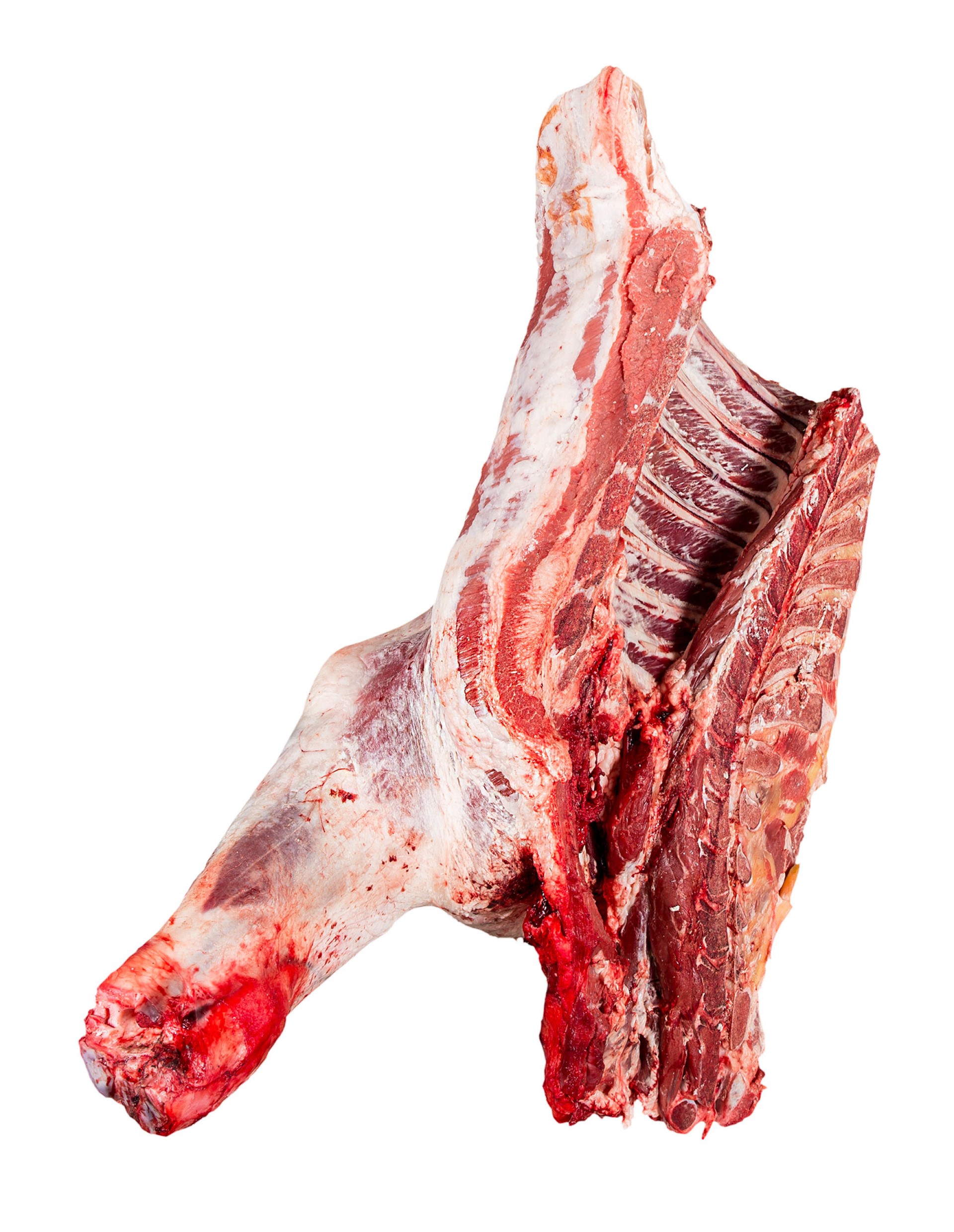 Novilho Dianteiro Fresco Nacional