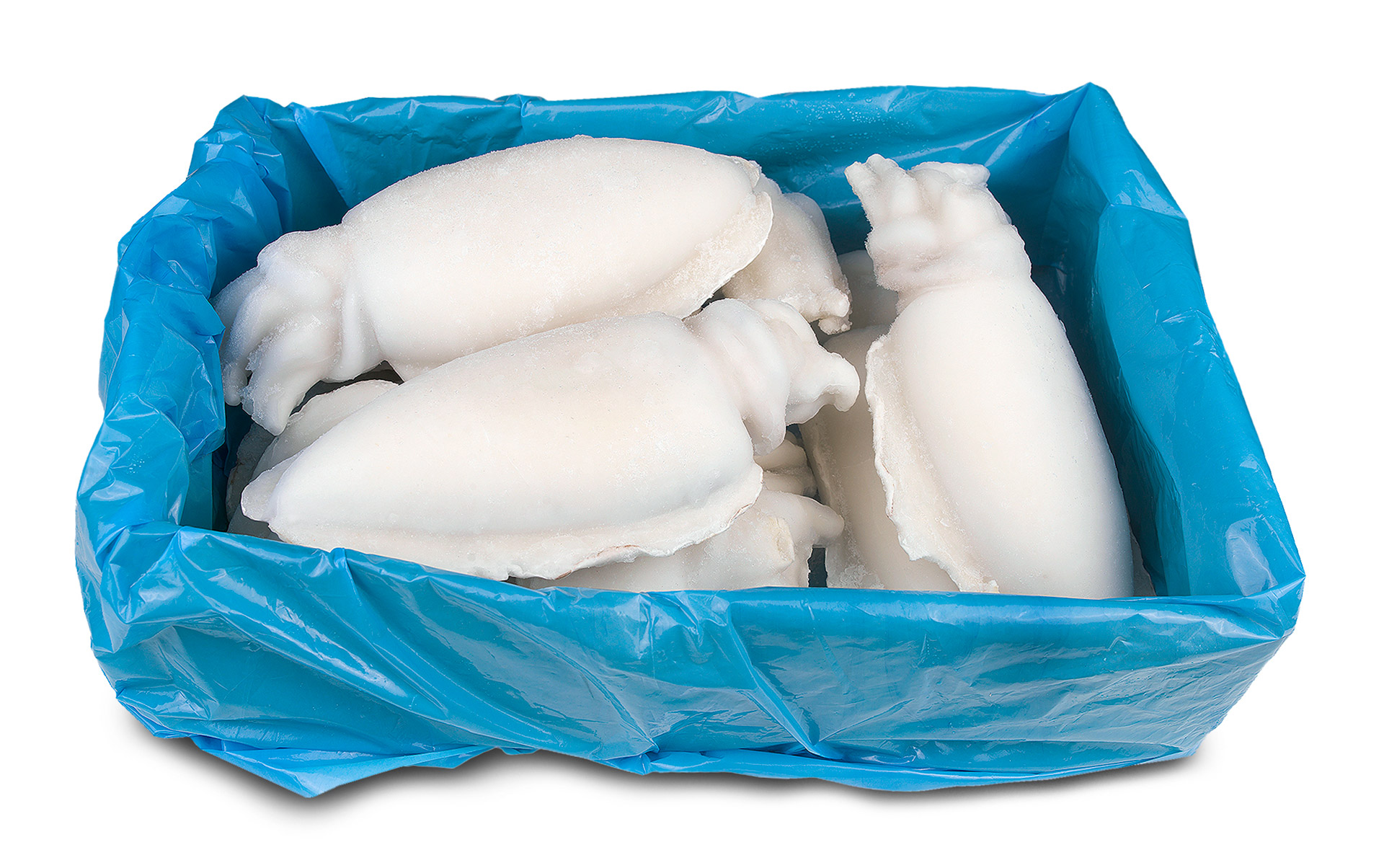 Choco Limpo U/1 Congelado India Cx 10 kg Choco Limpo U/1 Congelado India Cx 10 kg