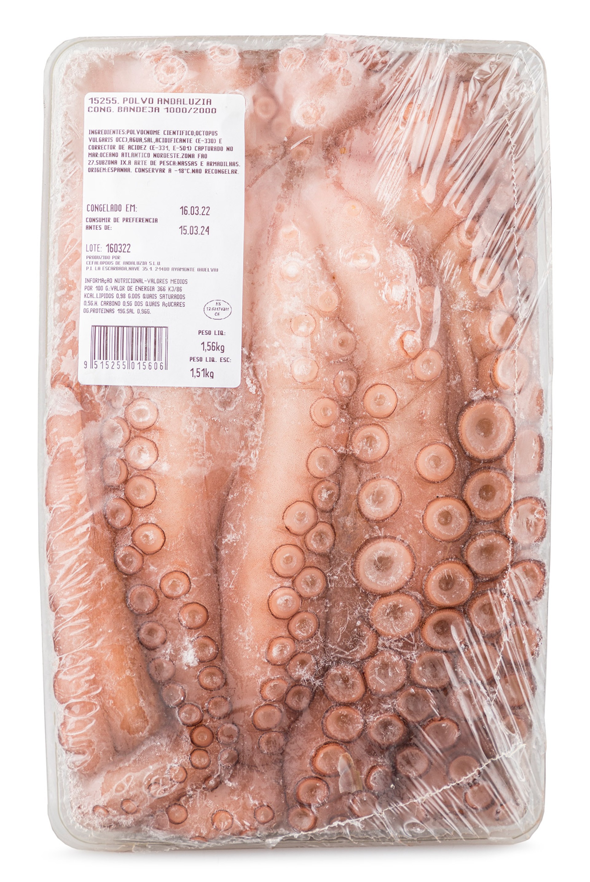 Polvo Andaluzia 1000/2000 Congelado Bandeja
