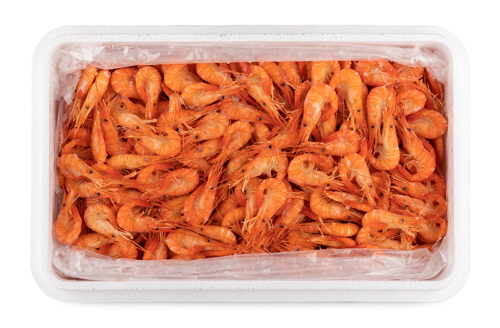 Camarão Costa Cozido Nº3 Congelado Cx 1 kg Camarão Costa Cozido Nº3 Congelado Cx 1 kg