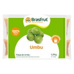 Polpa Fruta Umbu Congelada 12x100 g
