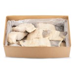 Bacalhau Demolhado Posta c/ Lombo Congelado Cx 10 kg