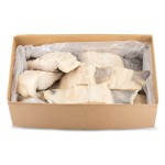 Bacalhau Demolhado Posta c/ Lombo 400/600 g Congelado Cx 7 kg