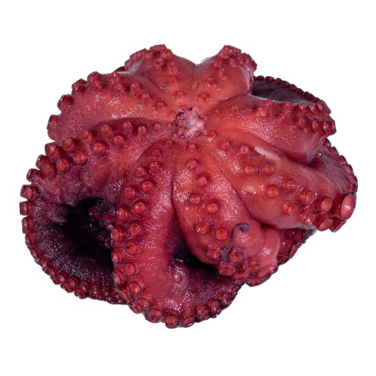 Polvo Cozido Tent�culos Congelado 10x300 g