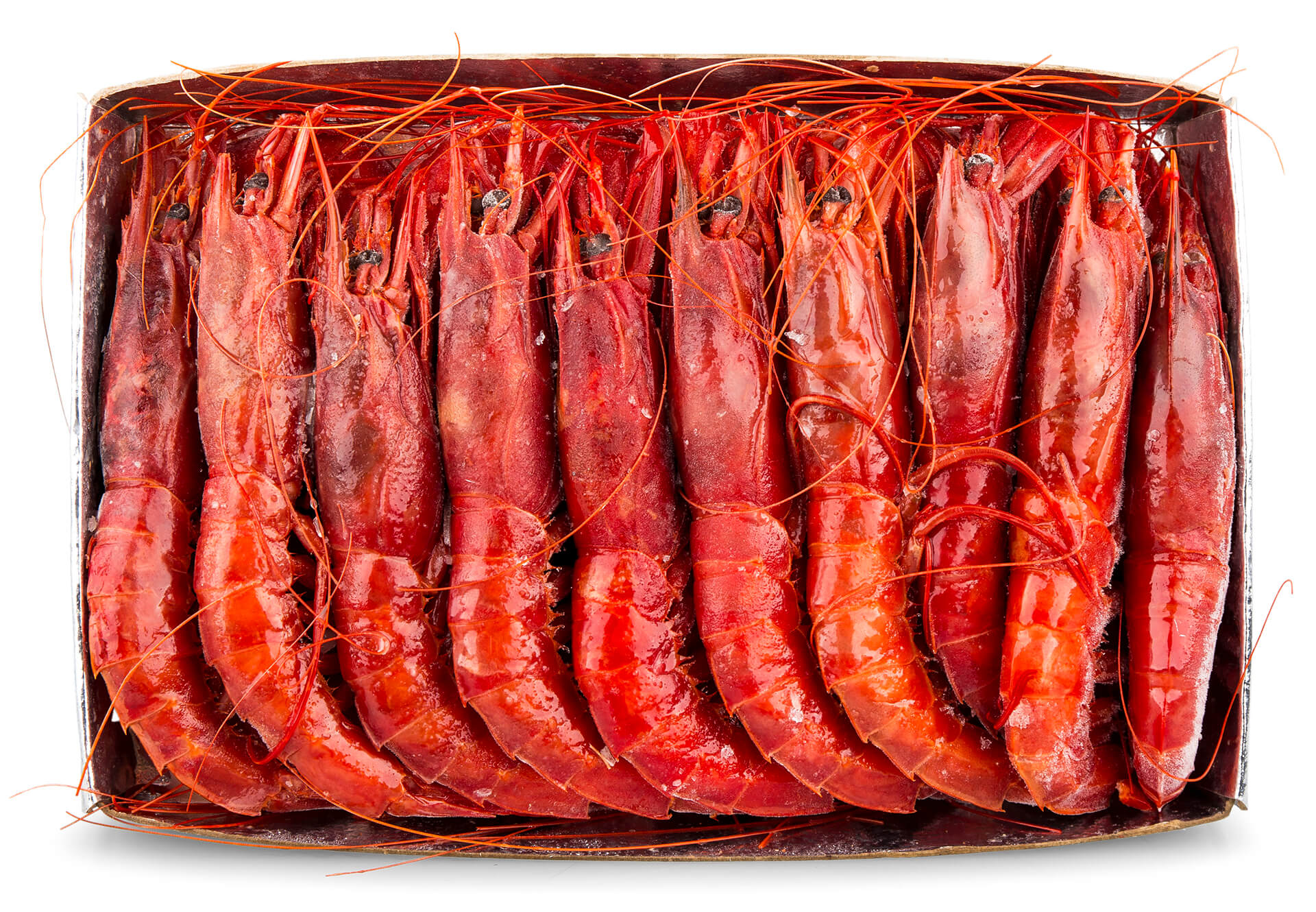 Carabineiro 19/24 Congelado Marrocos Cx IQF Carabineiro 19/24 Congelado Marrocos Cx IQF