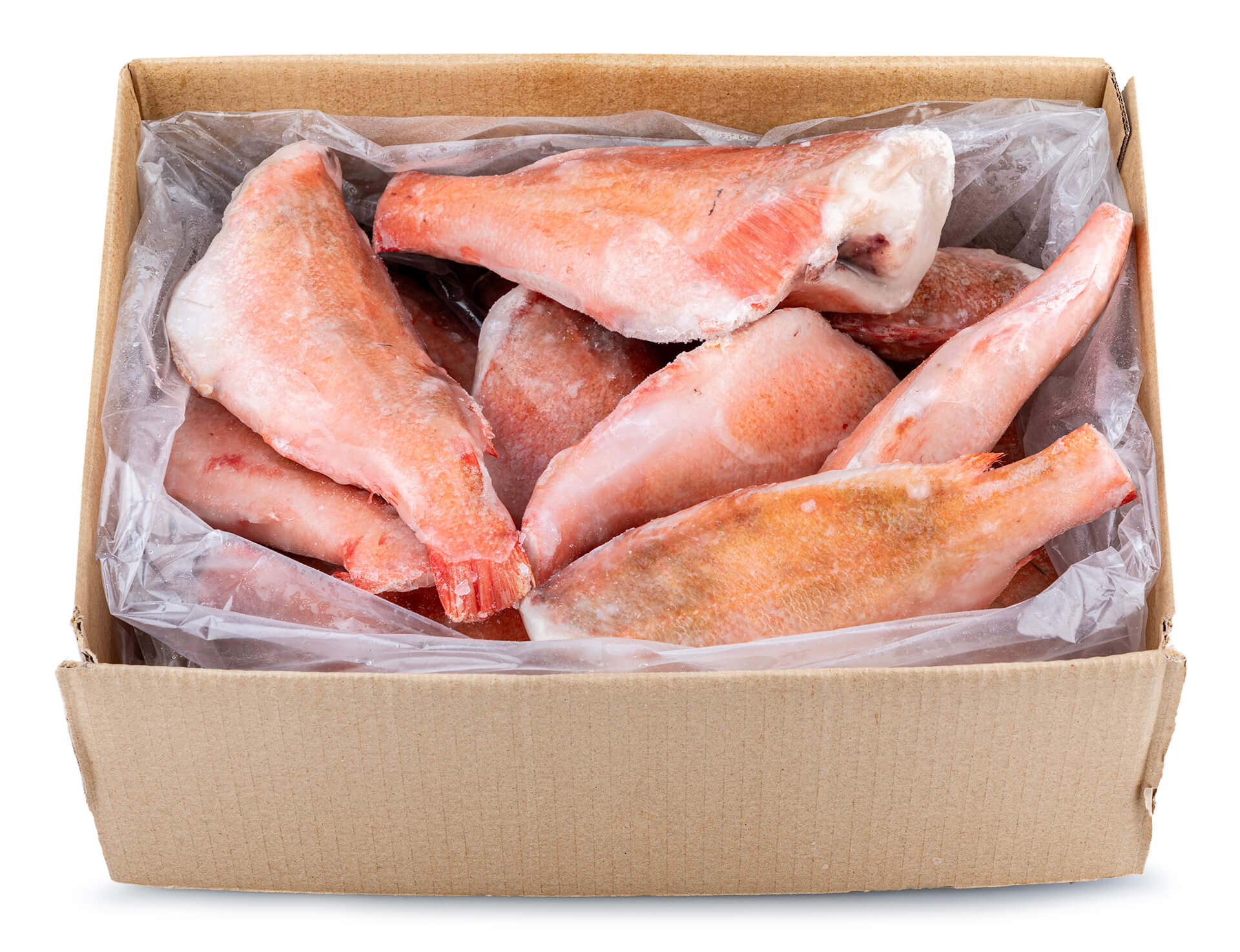 Peixe Vermelho 300/500 g Congelado Cx 6 kg Peixe Vermelho 300/500 g Congelado Cx 6 kg