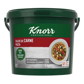 Caldo Carne Pasta Knorr Balde 5 kg