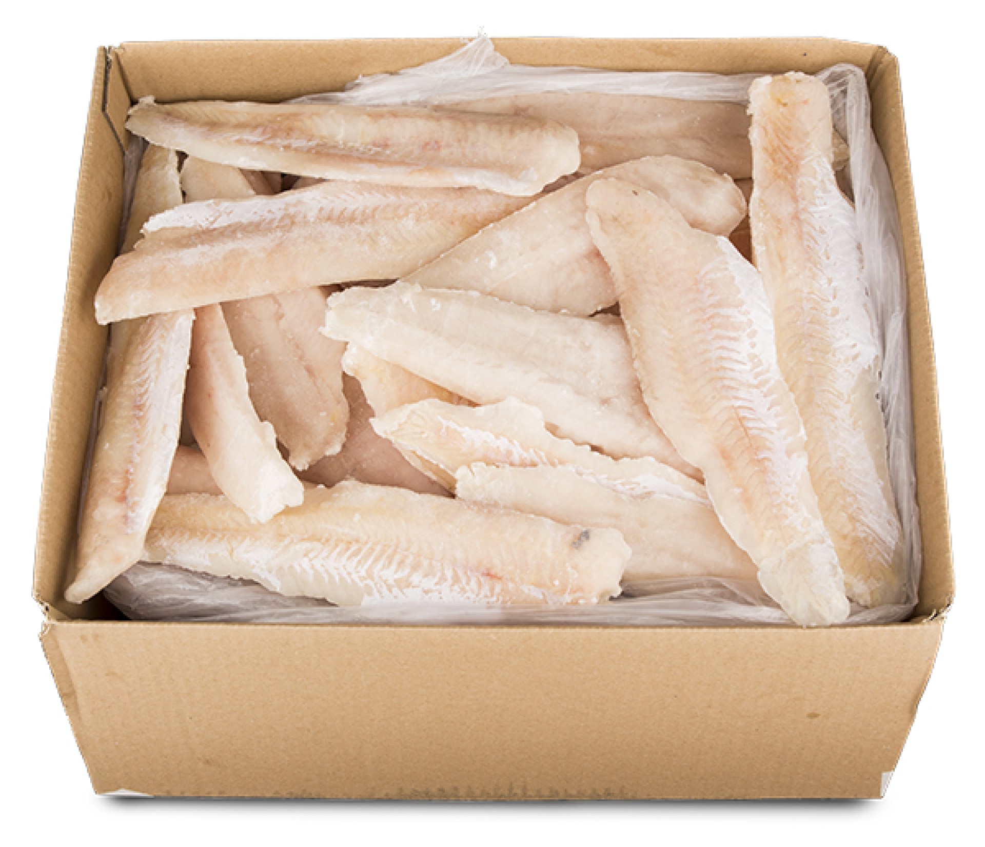 Filete Pescada s/ Pele Congelado Argentina Cx 6 kg