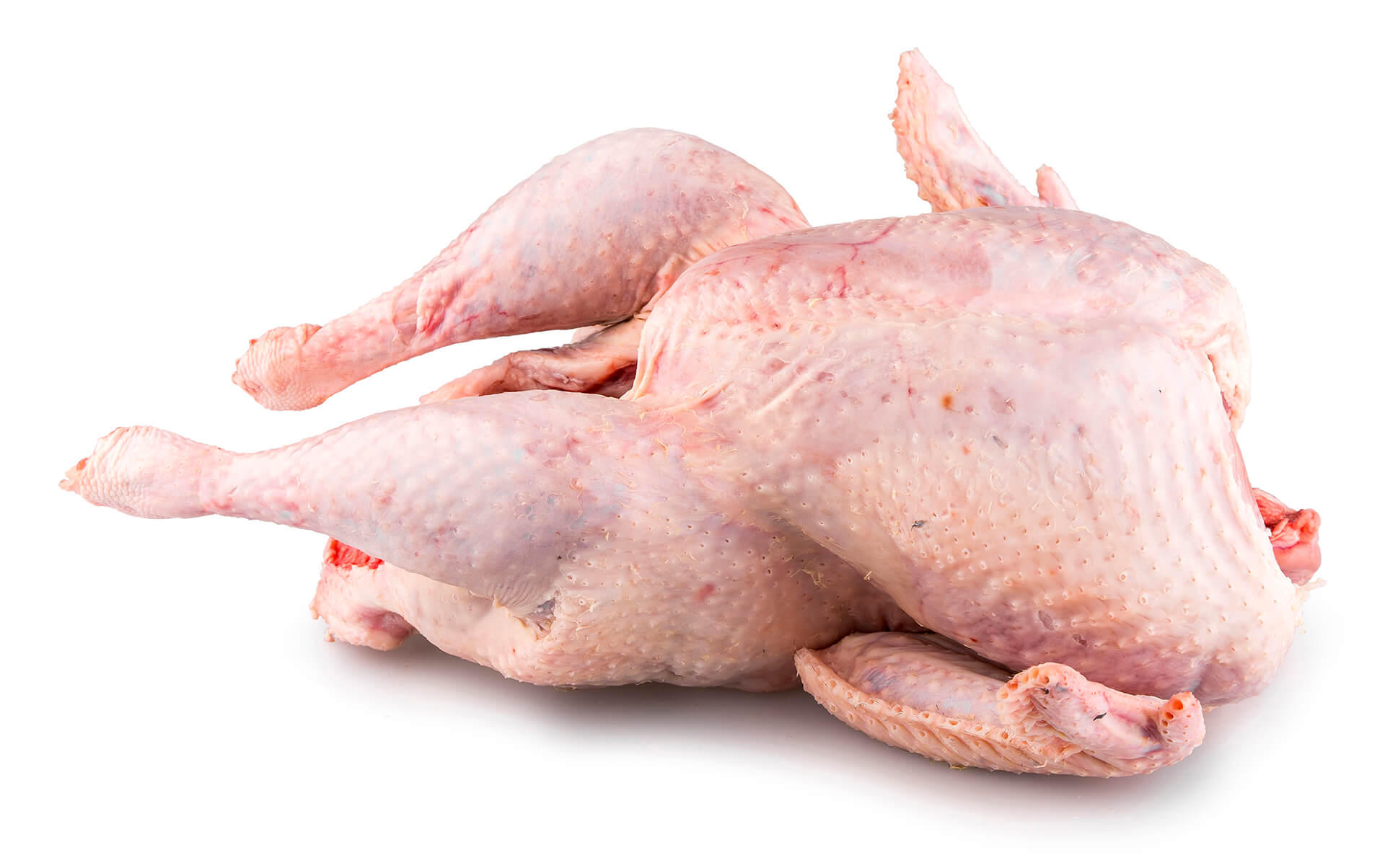 Peru Inteiro Fresco Macho 12/+ kg