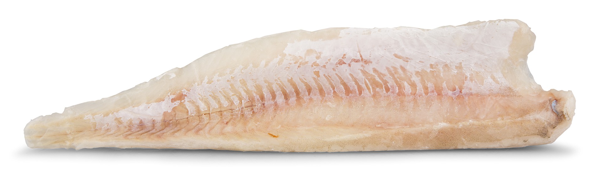 Filete Pescada s/ Pele Congelado Argentina Cx 6 kg