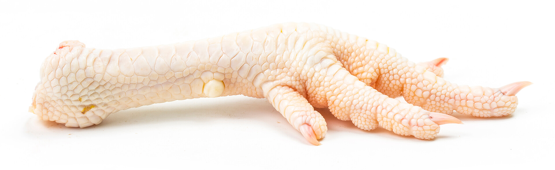 Frango Patas Frescas