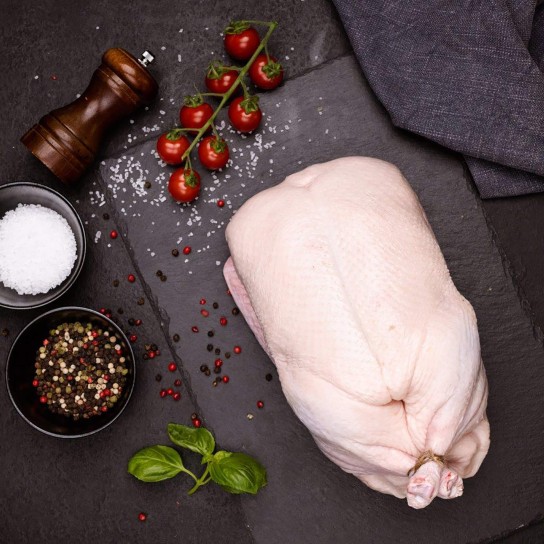 Pato c/ Mi�dos Congelado Hungria V�cuo