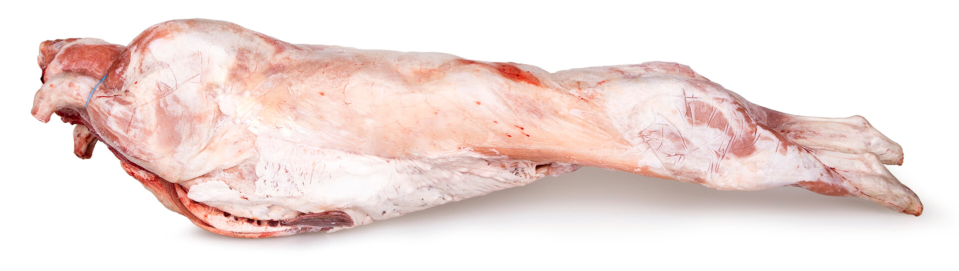 Cabrito Inteiro Congelado Gr�cia Cx 3-4 Un