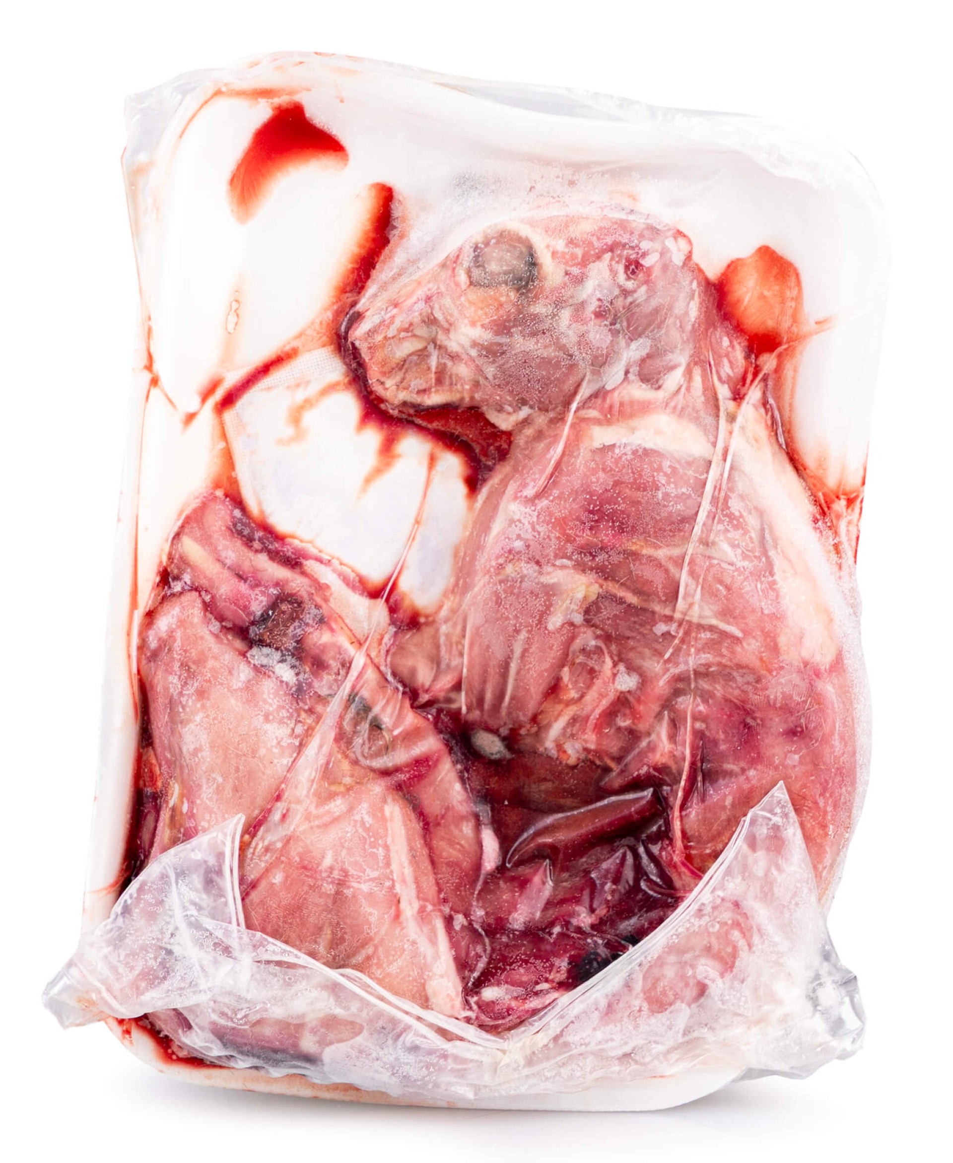 Coelho Inteiro Ibérico s/ Pelo Congelado Vácuo Coelho Inteiro Ibérico s/ Pelo Congelado Vácuo