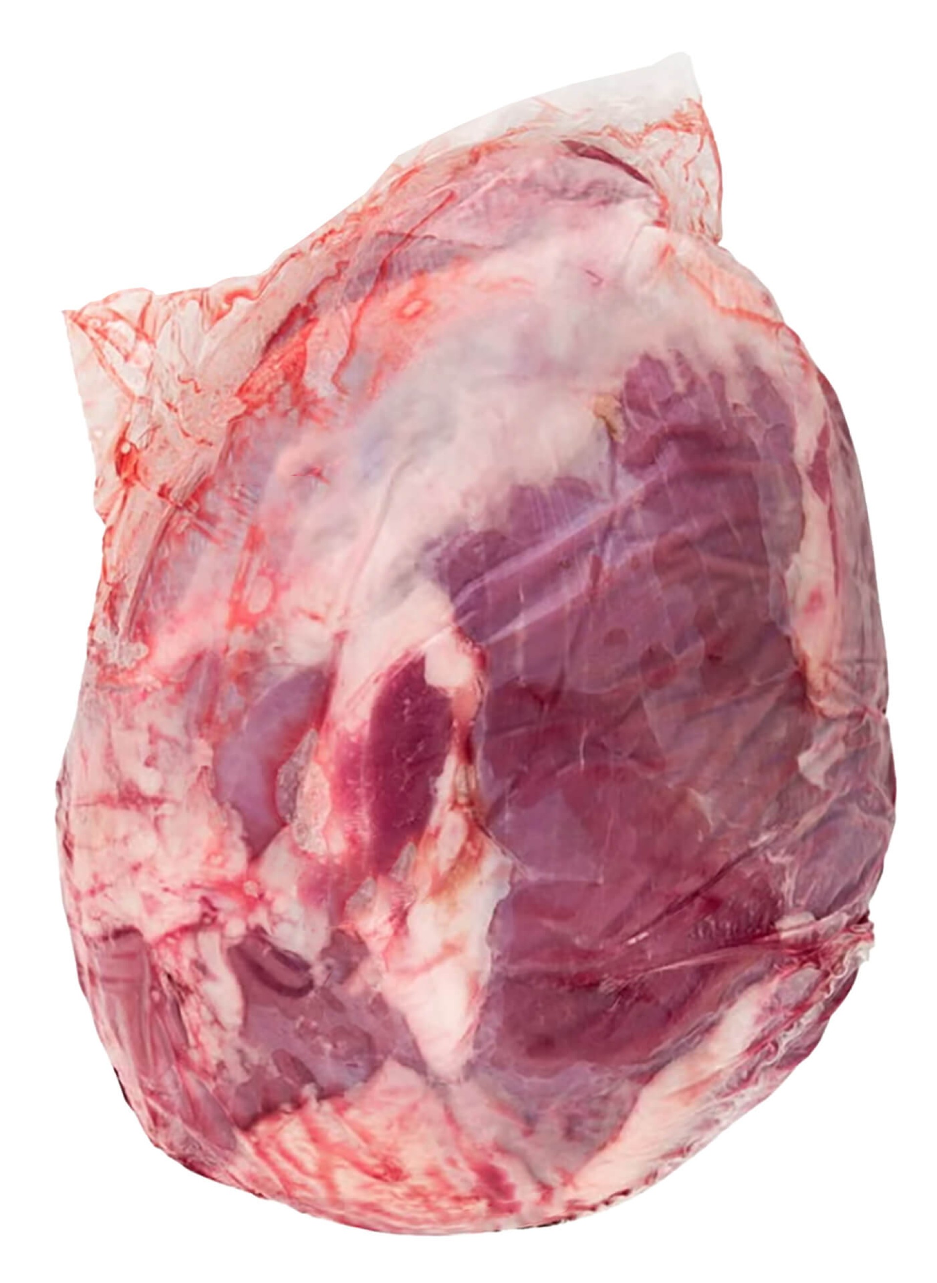 Novilho Rabadilha Fresca Argentina V�cuo