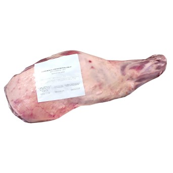 Borrego P c/ Osso Congelado Nova Zelndia
