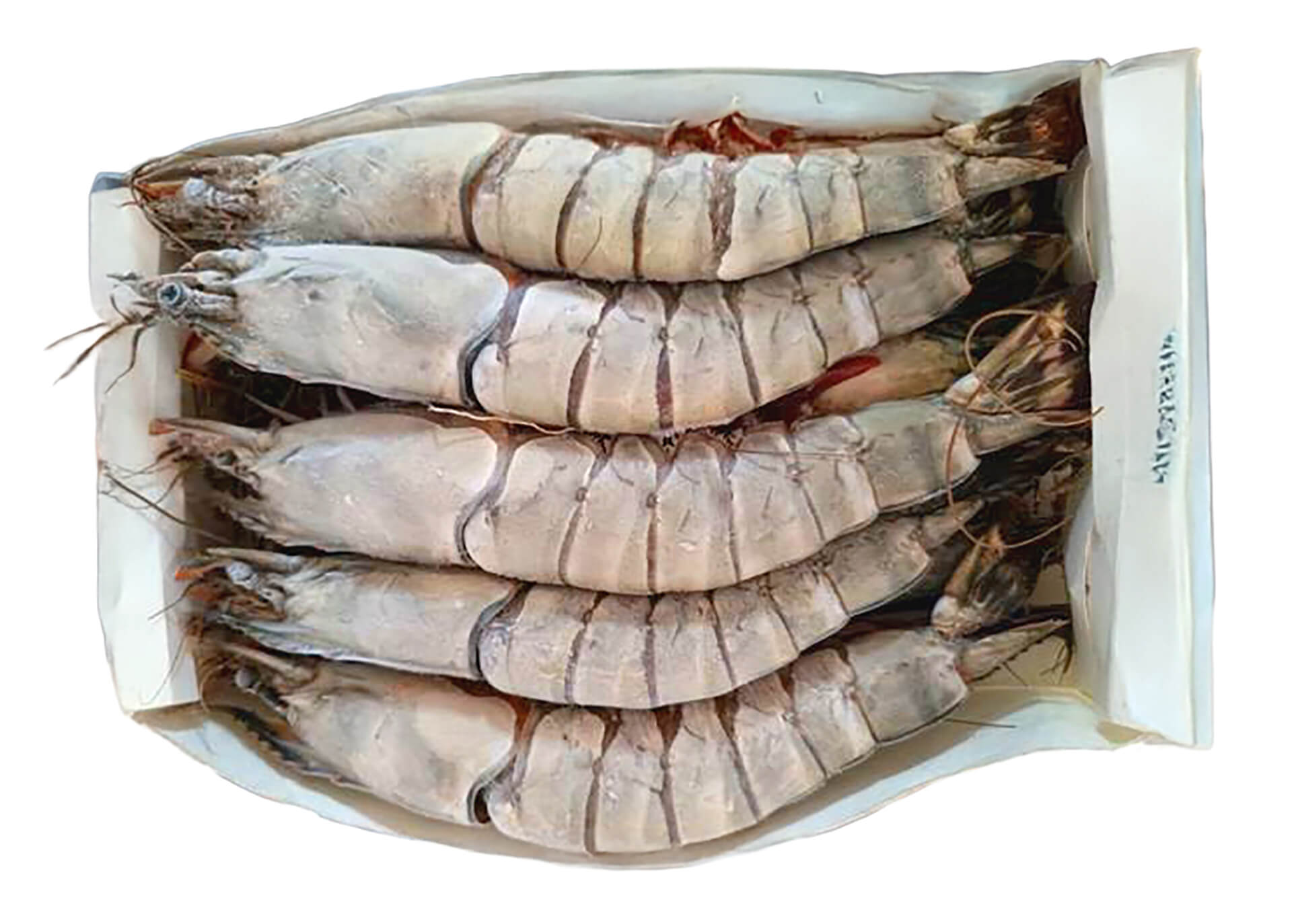 Camarão Tigre 5/10 Congelado Moçambique Cx 2 kg Camarão Tigre 5/10 Congelado Moçambique Cx 2 kg