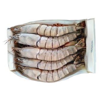 Camaro Tigre 5/10 Congelado Moambique Cx 2 kg