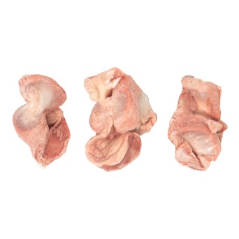 Frango Moelas Congelado 10x1 kg Frango Moelas Congelado 10x1 kg