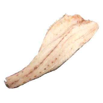 Filete Corvina c/ Pele +1000 g Congelada Cx 10 kg