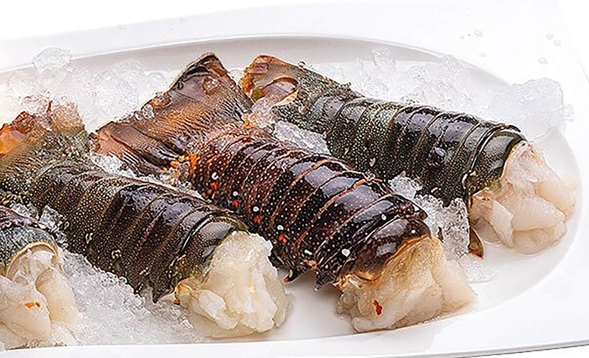 Rabos Lagosta 200/300 Congelados Cx 5 kg Rabos Lagosta 200/300 Congelados Cx 5 kg