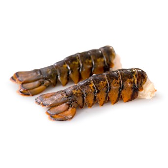 Rabos Lagosta 200/300 Congelados Cx 5 kg Rabos Lagosta 200/300 Congelados Cx 5 kg