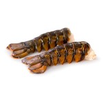 Rabos Lagosta 200/300 Congelados Cx 5 kg Rabos Lagosta 200/300 Congelados Cx 5 kg