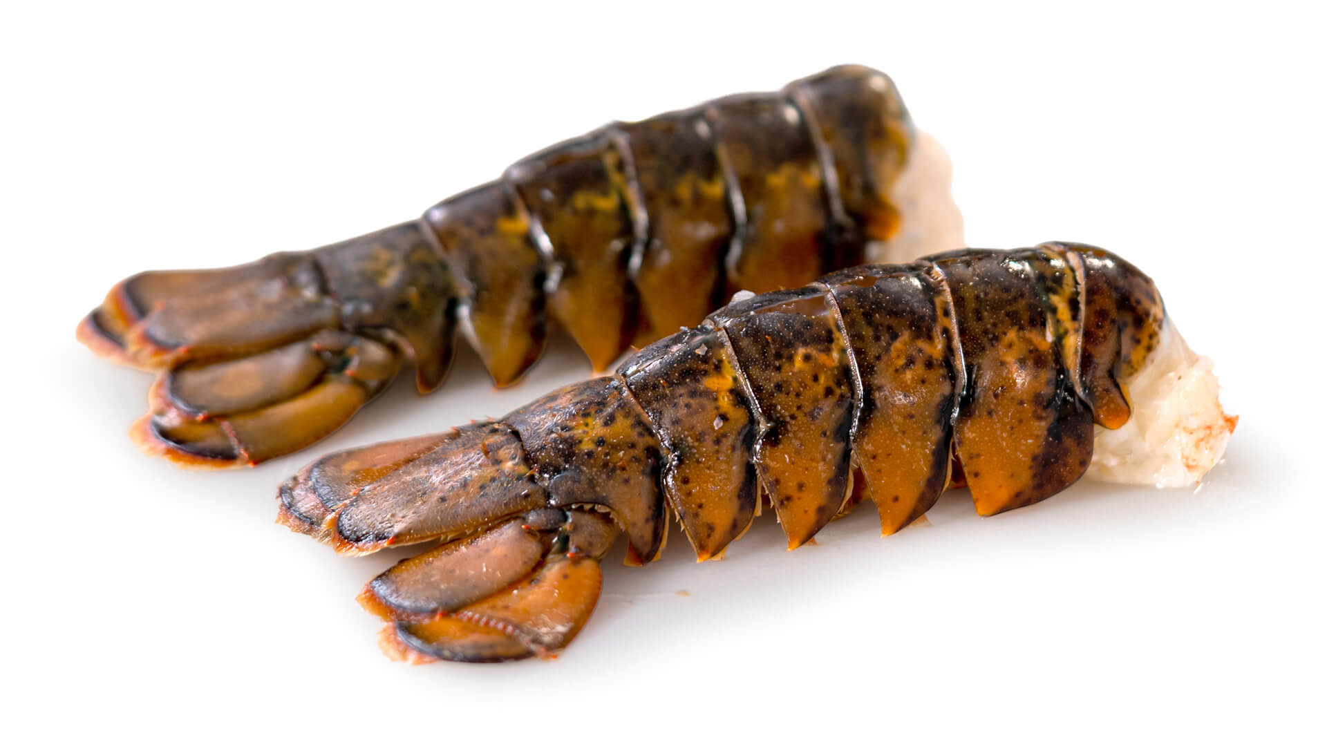 Rabos Lagosta 200/300 Congelados Cx 5 kg Rabos Lagosta 200/300 Congelados Cx 5 kg