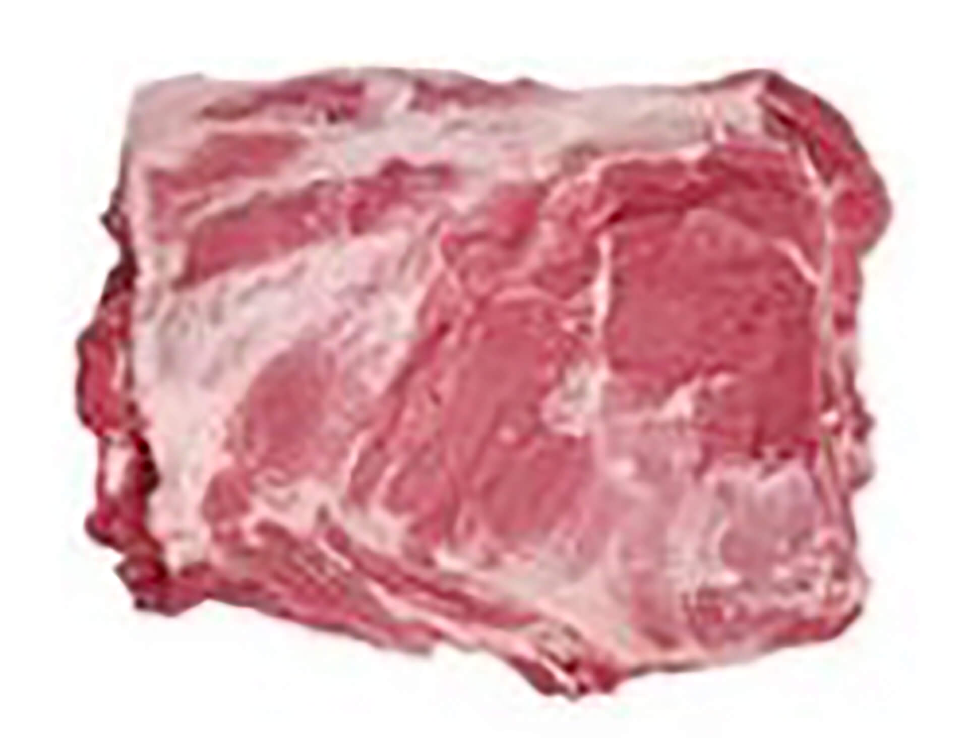 Porco Cachaco Fresco Nacional