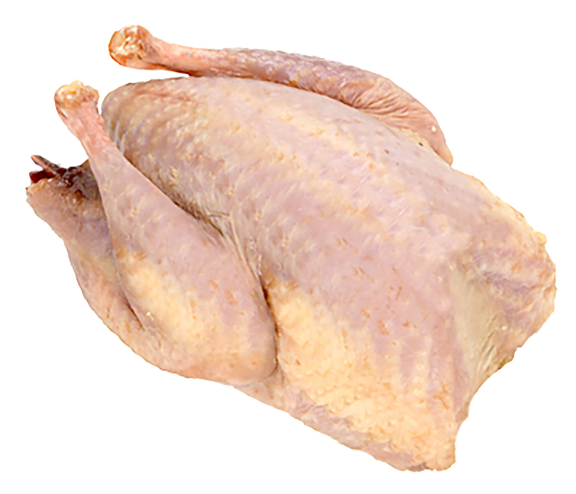 Perdiz s/ Penas Ib�rica Congelada V�cuo