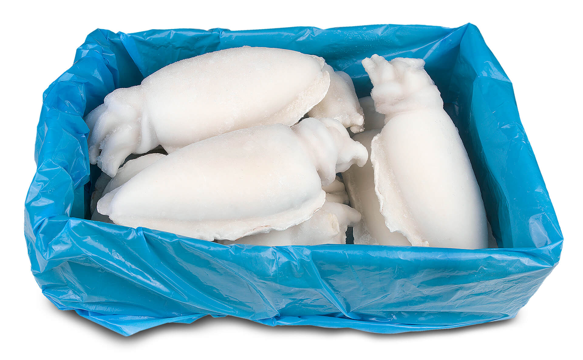 Choco Limpo 1/2 Congelado Marrocos Cx +/- 10 kg