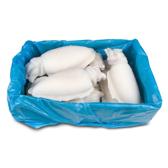 Choco Limpo 1/2 Congelado Marrocos Cx 10 kg Choco Limpo 1/2 Congelado Marrocos Cx 10 kg