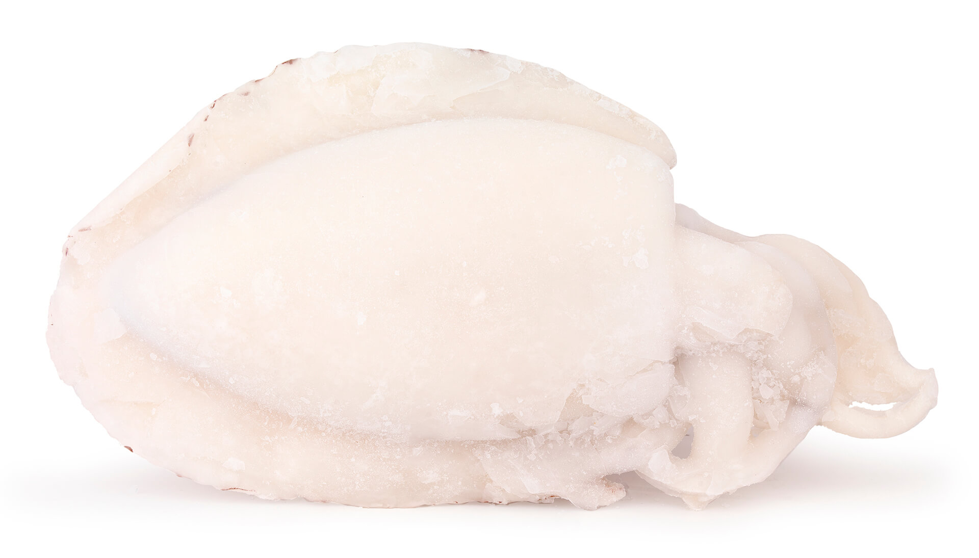 Choco Limpo 1/2 Congelado Marrocos Cx +/- 10 kg