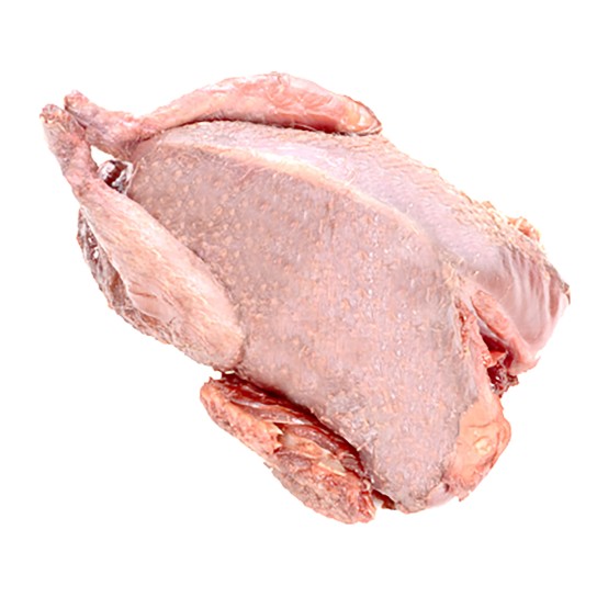 Pombo Torcaz s/ Penas Congelado V�cuo