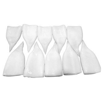 Tubo Pota U5 Congelado 6x750 g