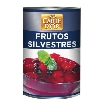 Frutos Silvestres Carte D'Or Lata 1,700 kg